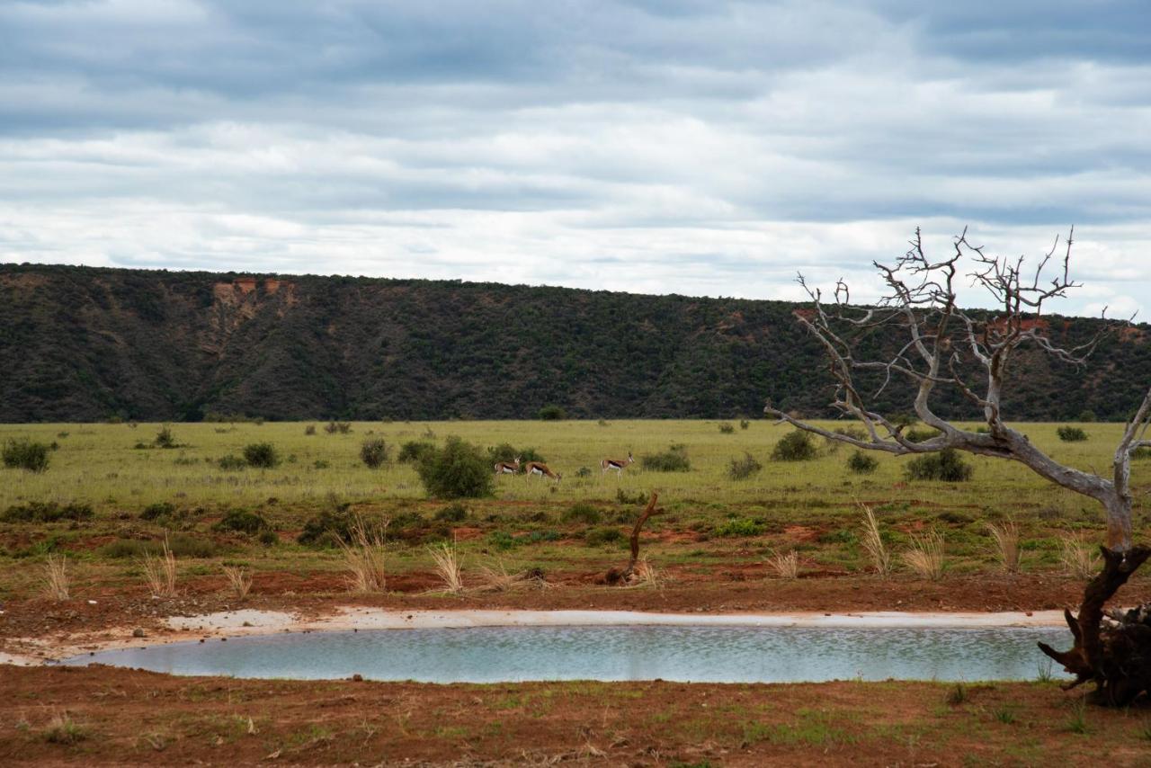 Shamwari Riverdene Paterson ภายนอก รูปภาพ